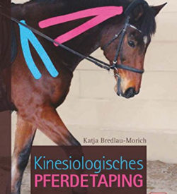 Kinesiologisches Pferdetaping